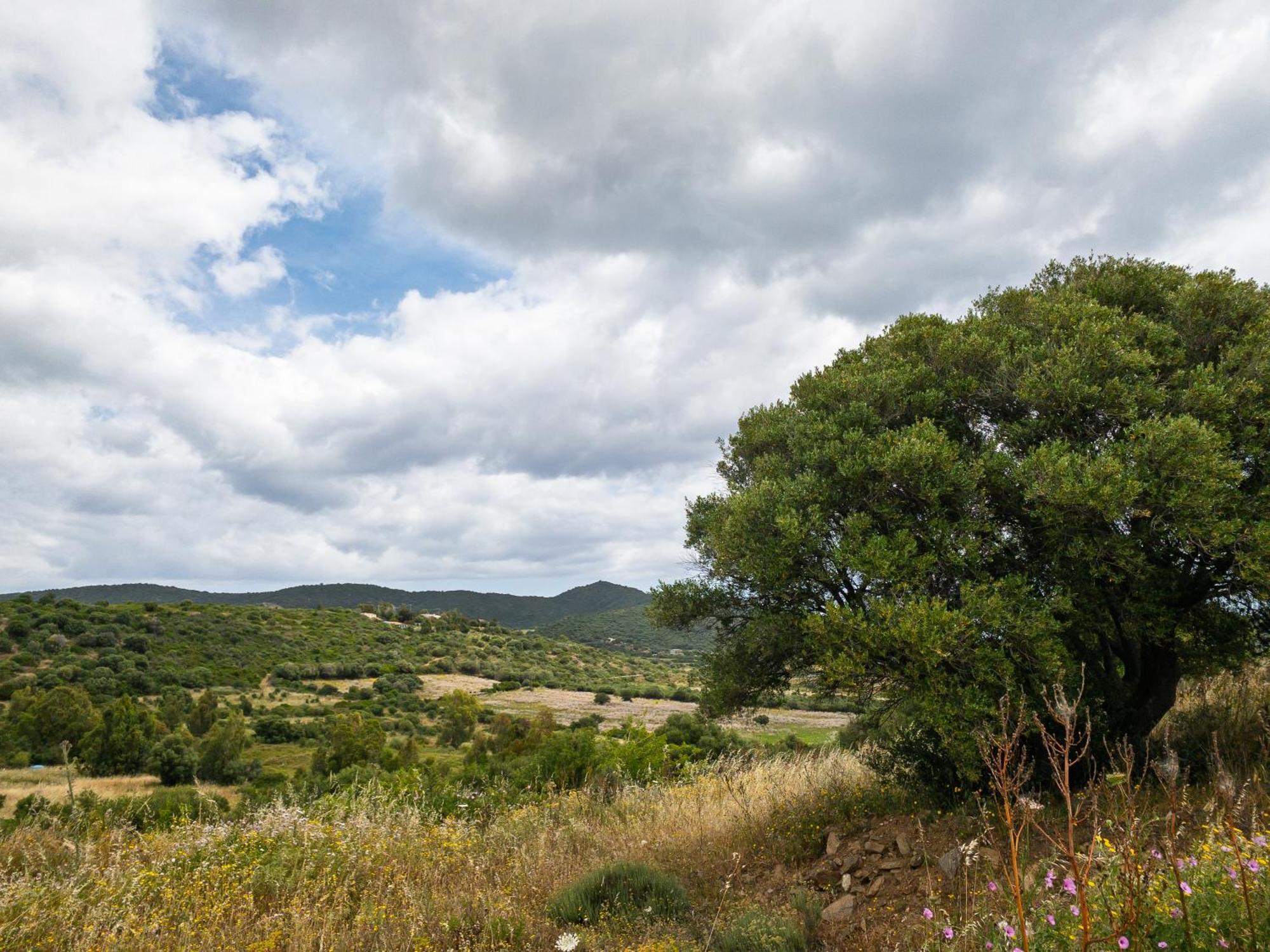 Agriturismo Guparza Posada (Sardinia) Exterior foto